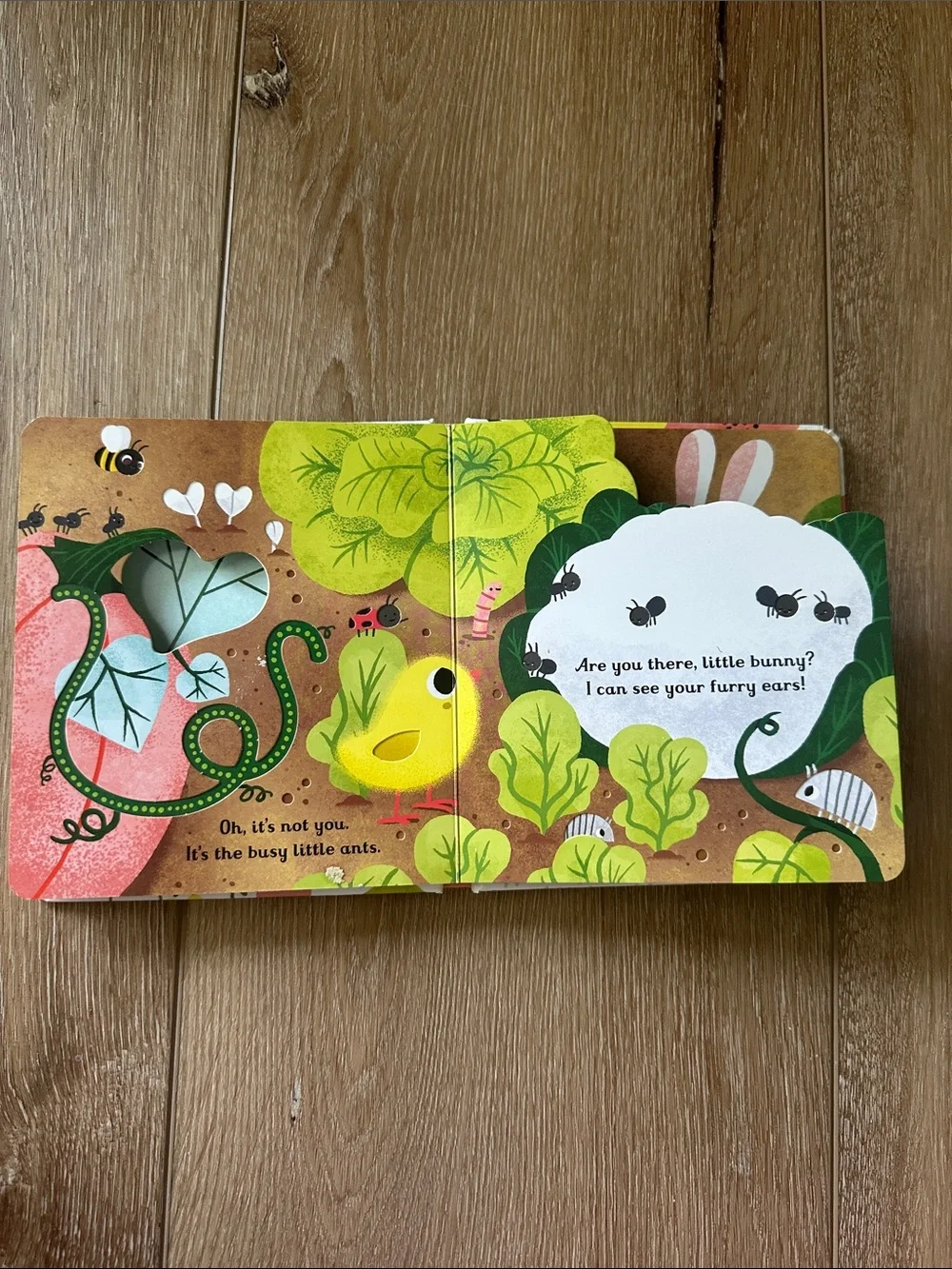 Usborne Are You There Little Bunny? Peak Thru Board Book